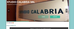 Subtitling service history